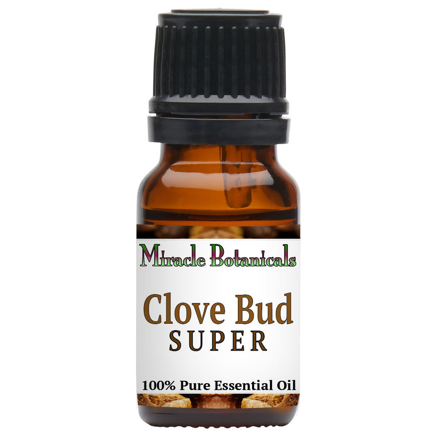 Clove Bud Essential Oil (Super) (Eugenia Caryophyllata) - Miracle Botanicals Essential Oils