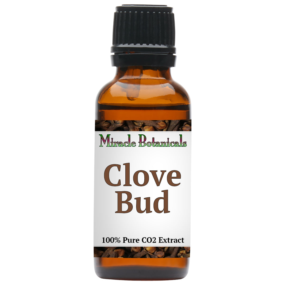 Clove Bud Essential Oil - CO2 Extracted (Eugenia Caryophyllata) - Miracle Botanicals Essential Oils