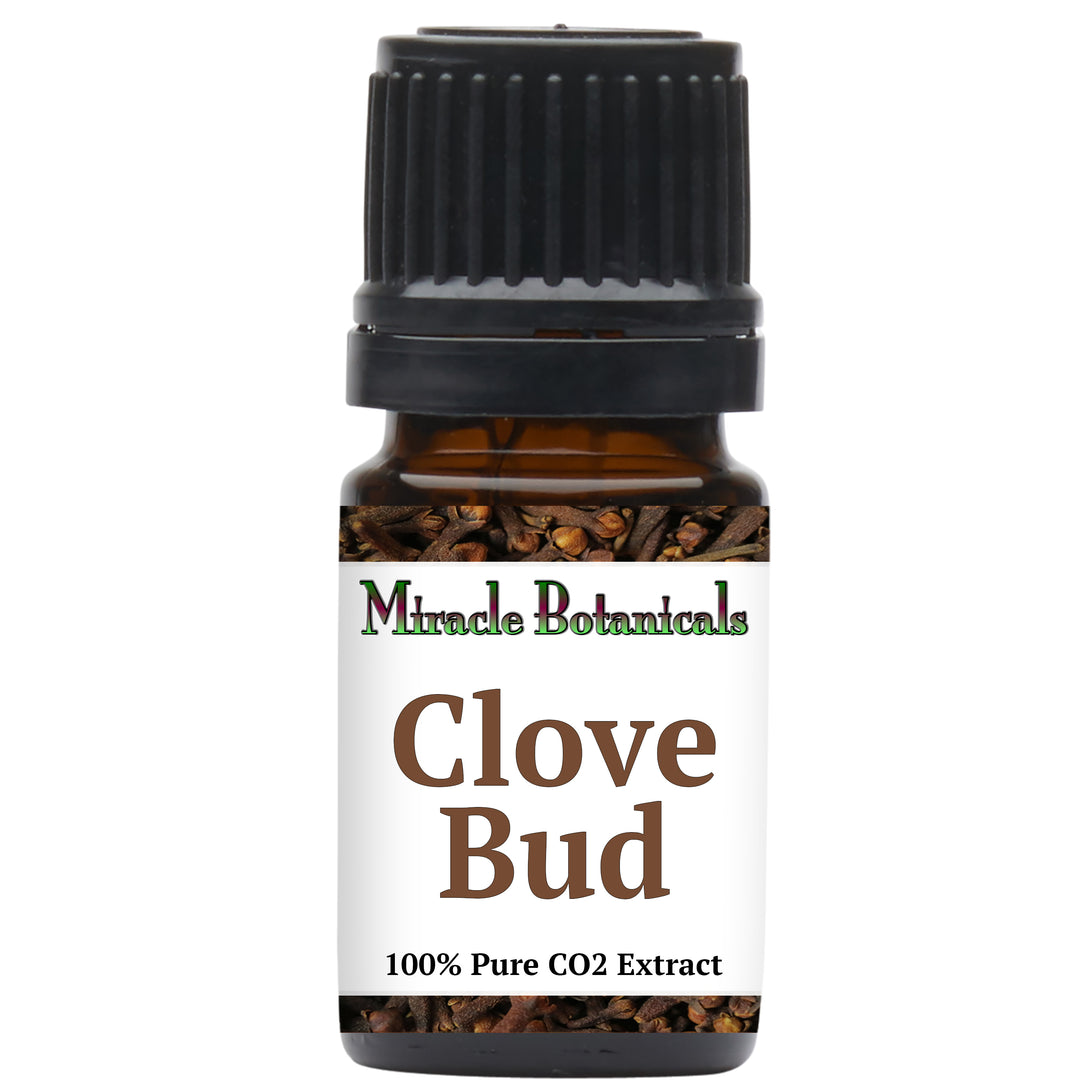 Clove Bud Essential Oil - CO2 Extracted (Eugenia Caryophyllata) - Miracle Botanicals Essential Oils