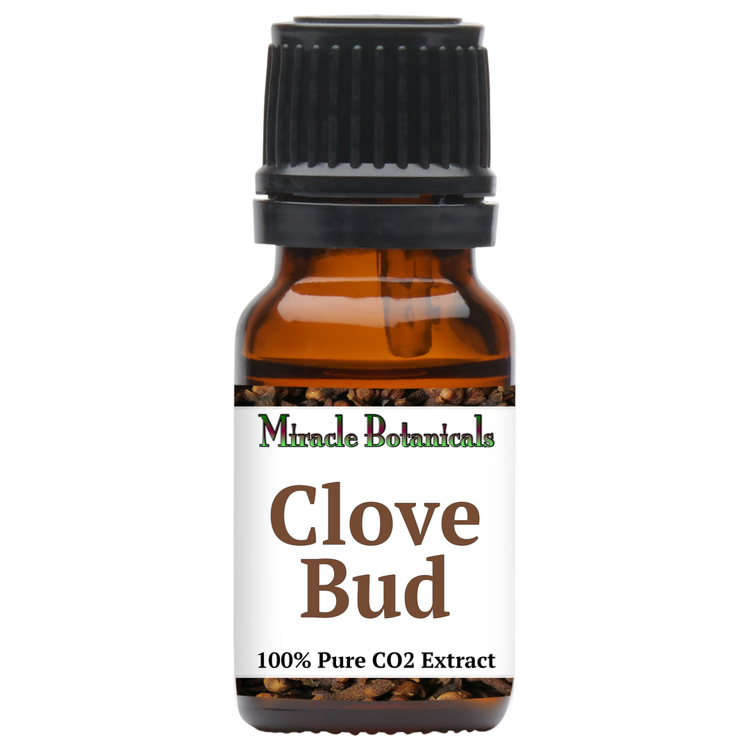 Clove Bud Essential Oil - CO2 Extracted (Eugenia Caryophyllata) - Miracle Botanicals Essential Oils