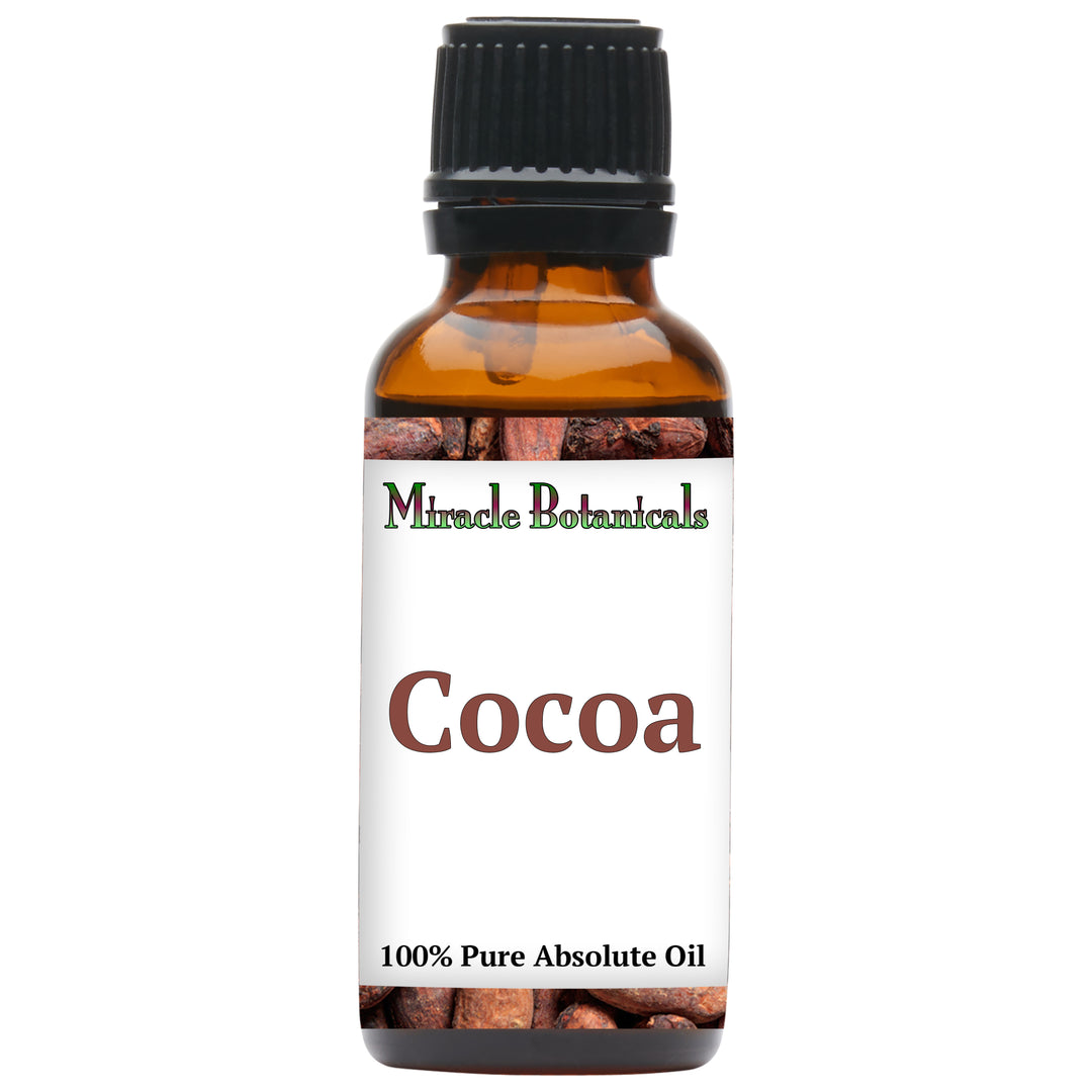 Cocoa Absolute Oil - Hexane Free (Theobroma Cacao) - Miracle Botanicals Essential Oils