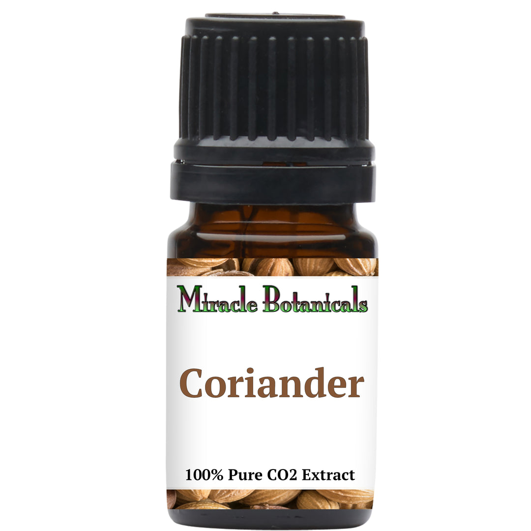 Coriander Essential Oil - CO2 Extracted (Coriandrum Sativum)