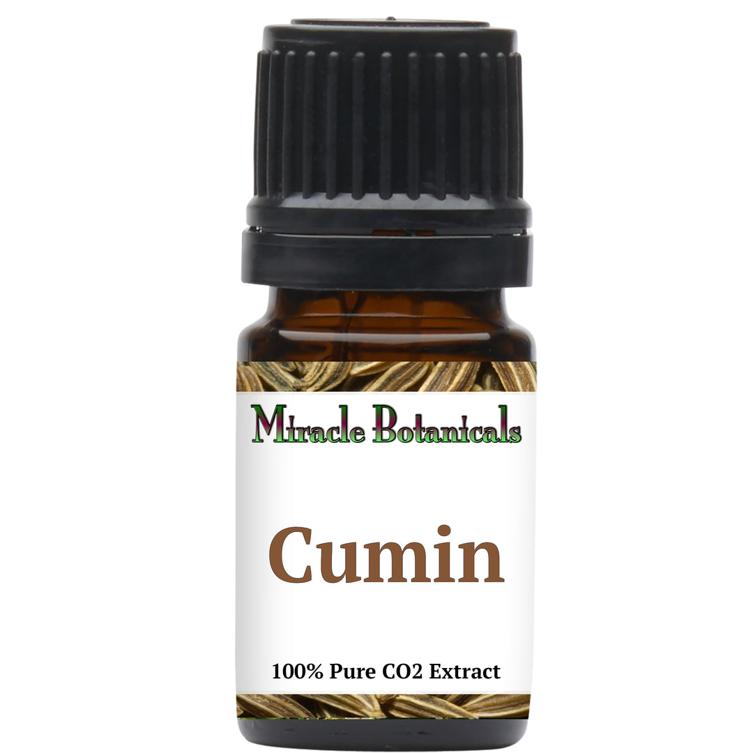 Cumin - CO2 Extracted (Cuminum Cyminum)