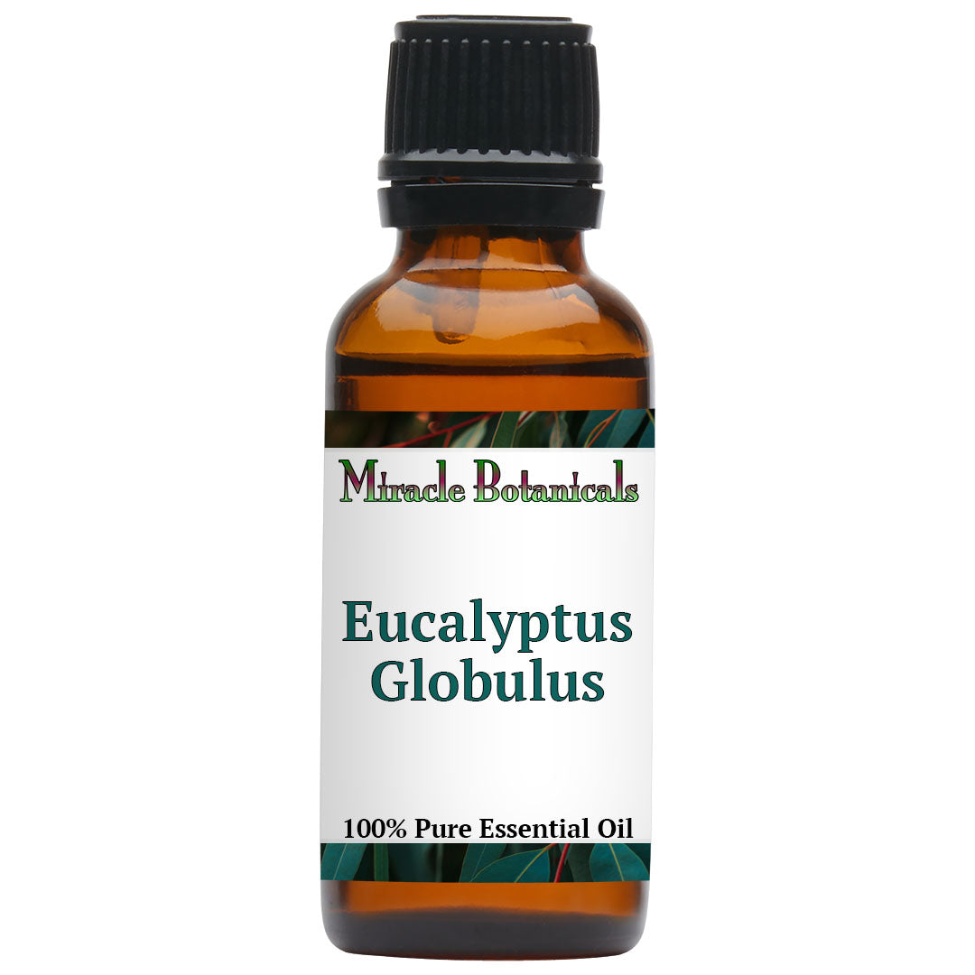Eucalyptus Globulus Essential Oil (Eucalyptus Globulus)