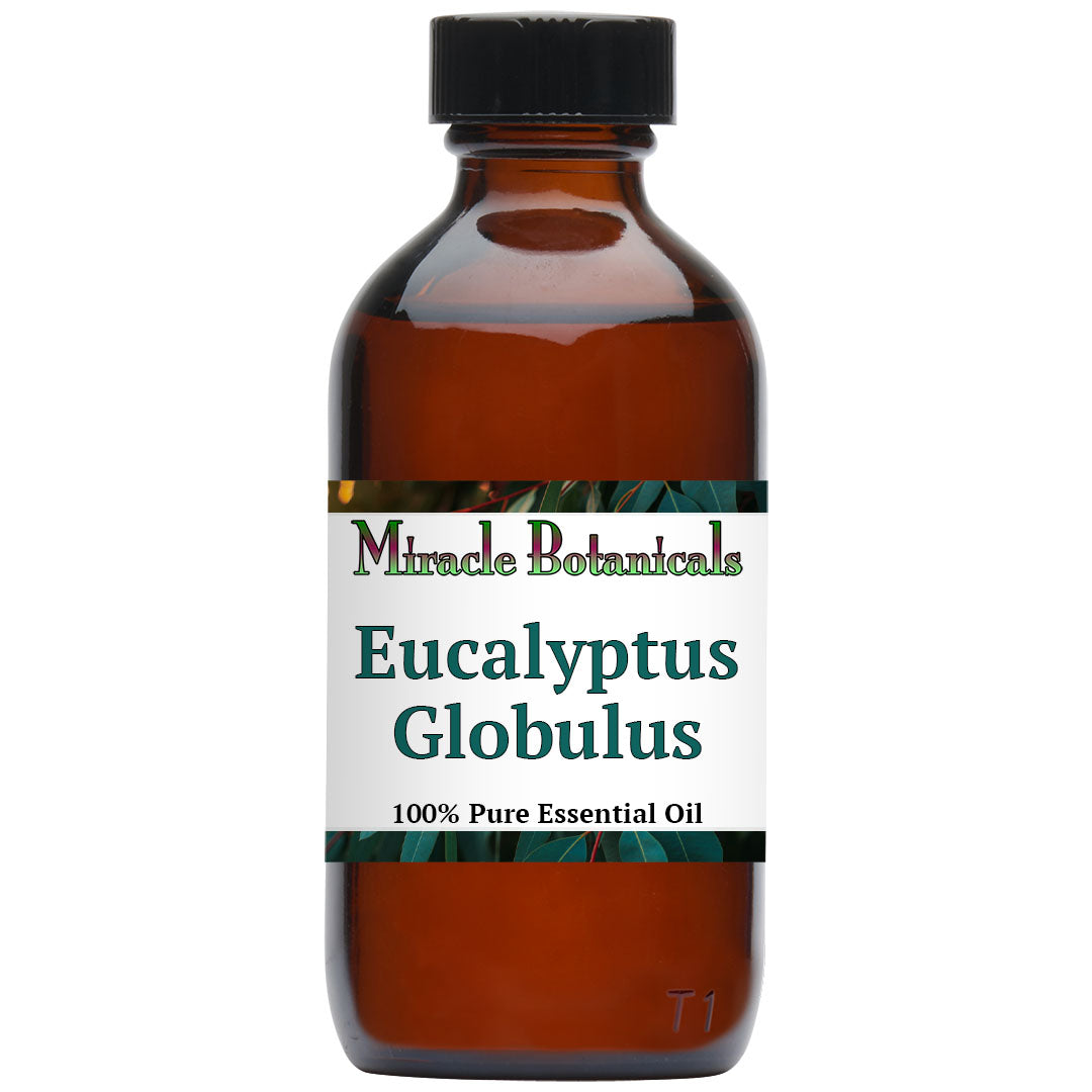 Eucalyptus Globulus Essential Oil (Eucalyptus Globulus)