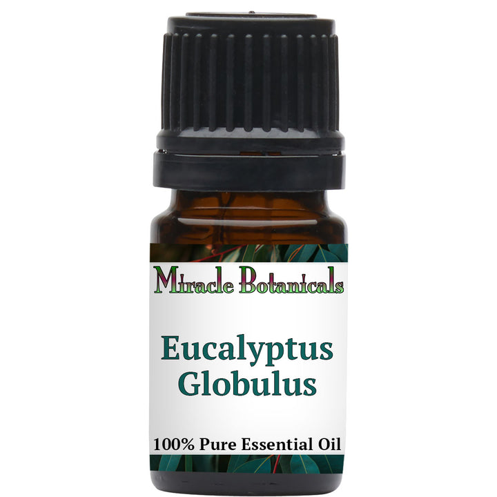 Eucalyptus Globulus Essential Oil (Eucalyptus Globulus)