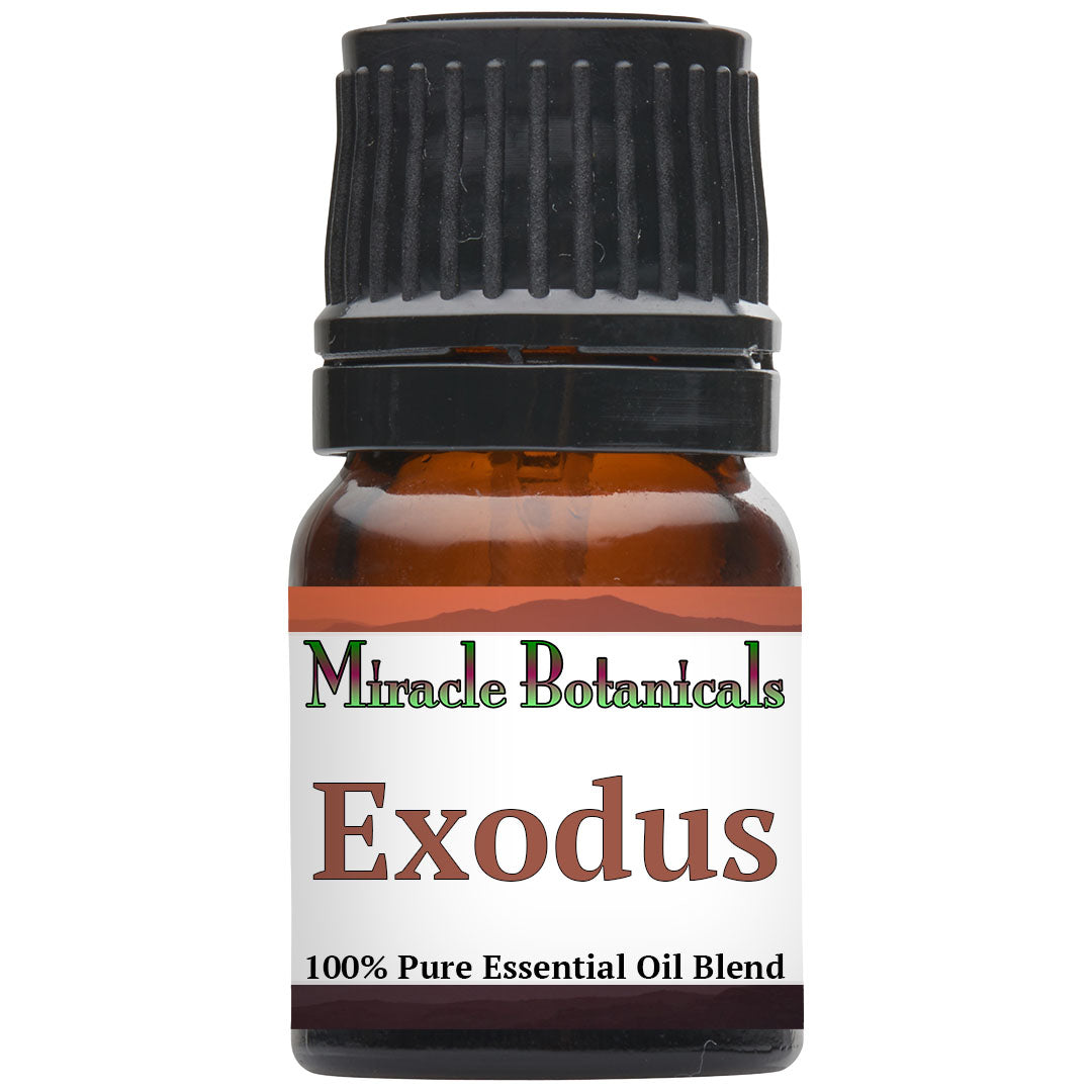 Exodus - Spiritual Enlightenment Essential Oil Blend