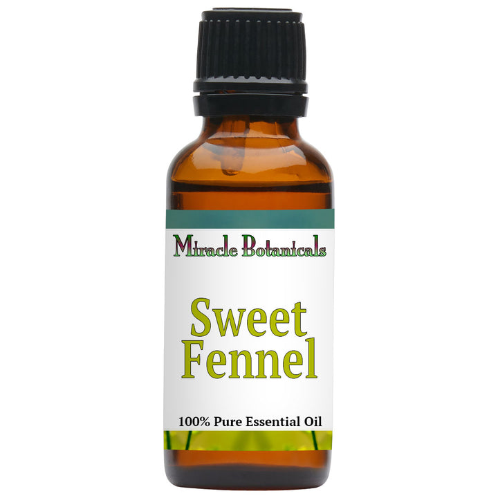 Fennel (Sweet) Essential Oil (Foeniculum Vulgare Mill Var Dulce)