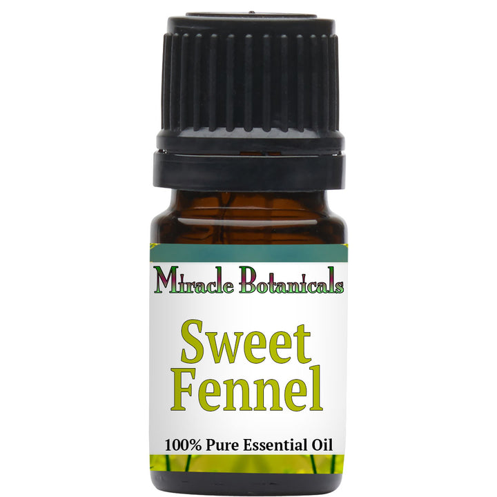 Fennel (Sweet) Essential Oil (Foeniculum Vulgare Mill Var Dulce)