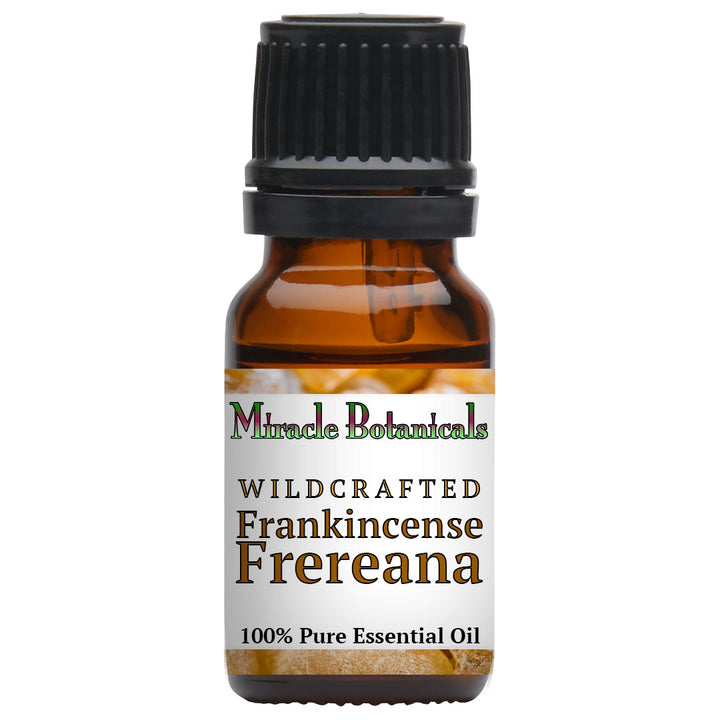 Frankincense Frereana Essential Oil - Wildcrafted (Boswellia Frereana)