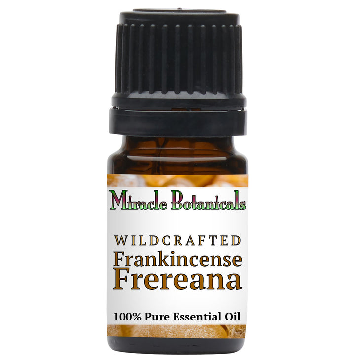 Frankincense Frereana Essential Oil - Wildcrafted (Boswellia Frereana)