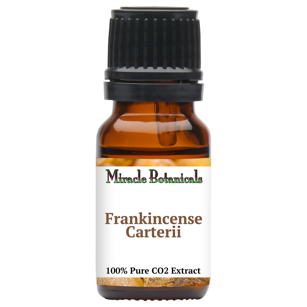 Frankincense Carterii Essential Oil - CO2 Extracted (Boswellia Carterii)