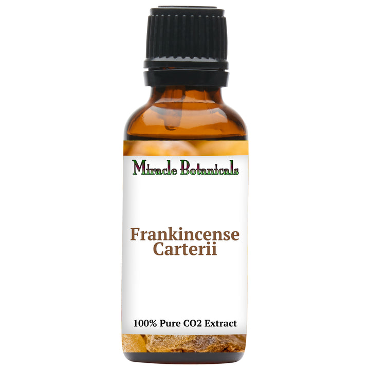 Frankincense Carterii Essential Oil - CO2 Extracted (Boswellia Carterii)