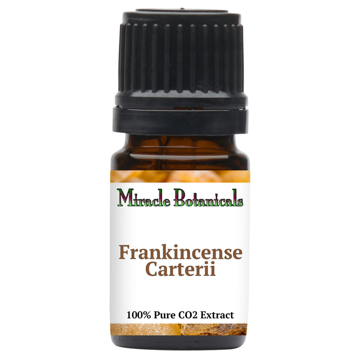 Frankincense Carterii Essential Oil - CO2 Extracted (Boswellia Carterii)