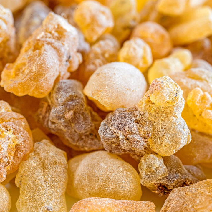 Frankincense Serrata - CO2 Extracted (Boswellia Serrata)