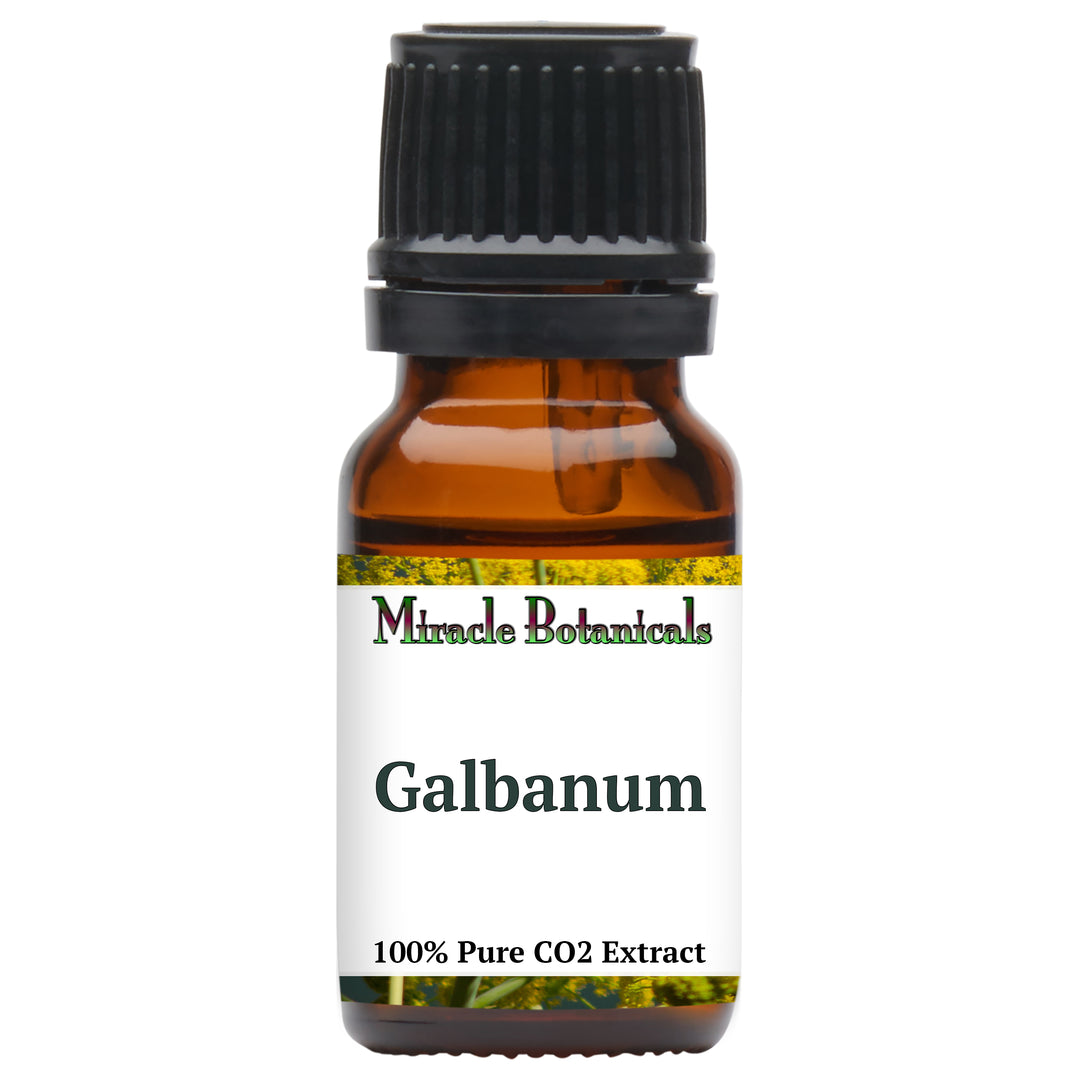 Galbanum Essential Oil - CO2 Extracted (Ferula Galbaniflua)
