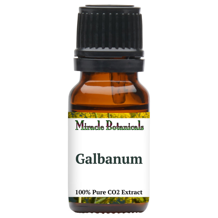 Galbanum Essential Oil - CO2 Extracted (Ferula Galbaniflua)