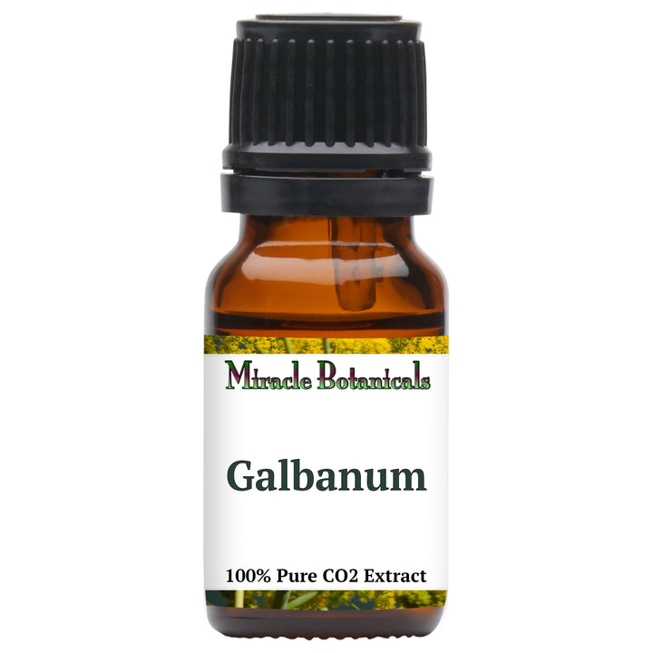 Galbanum Essential Oil - CO2 Extracted (Ferula Galbaniflua)