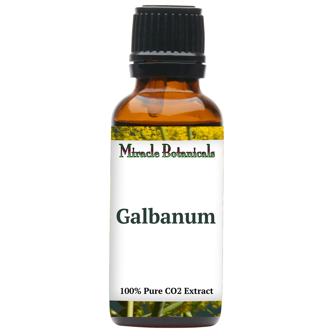 Galbanum Essential Oil - CO2 Extracted (Ferula Galbaniflua)
