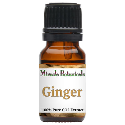 Ginger Essential Oil - CO2 Extracted (Zingiber Officinalis)