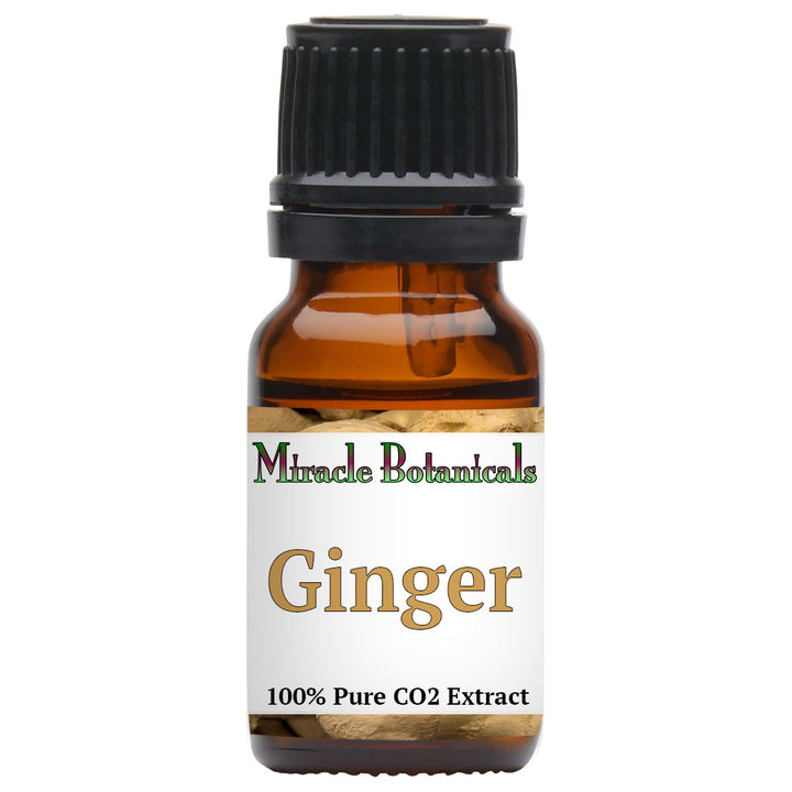 Ginger Essential Oil - CO2 Extracted (Zingiber Officinalis)