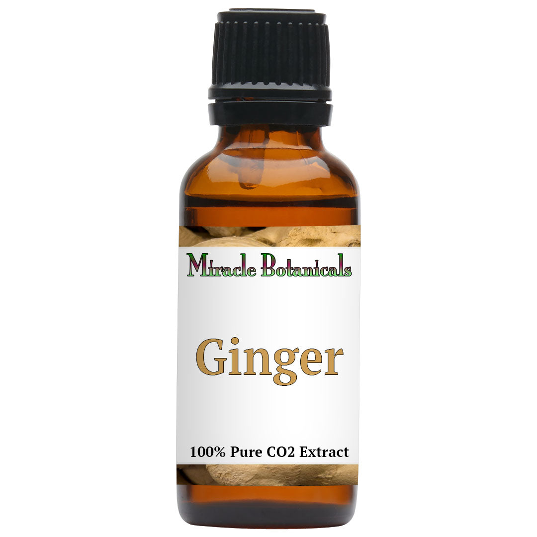 Ginger Essential Oil - CO2 Extracted (Zingiber Officinalis)
