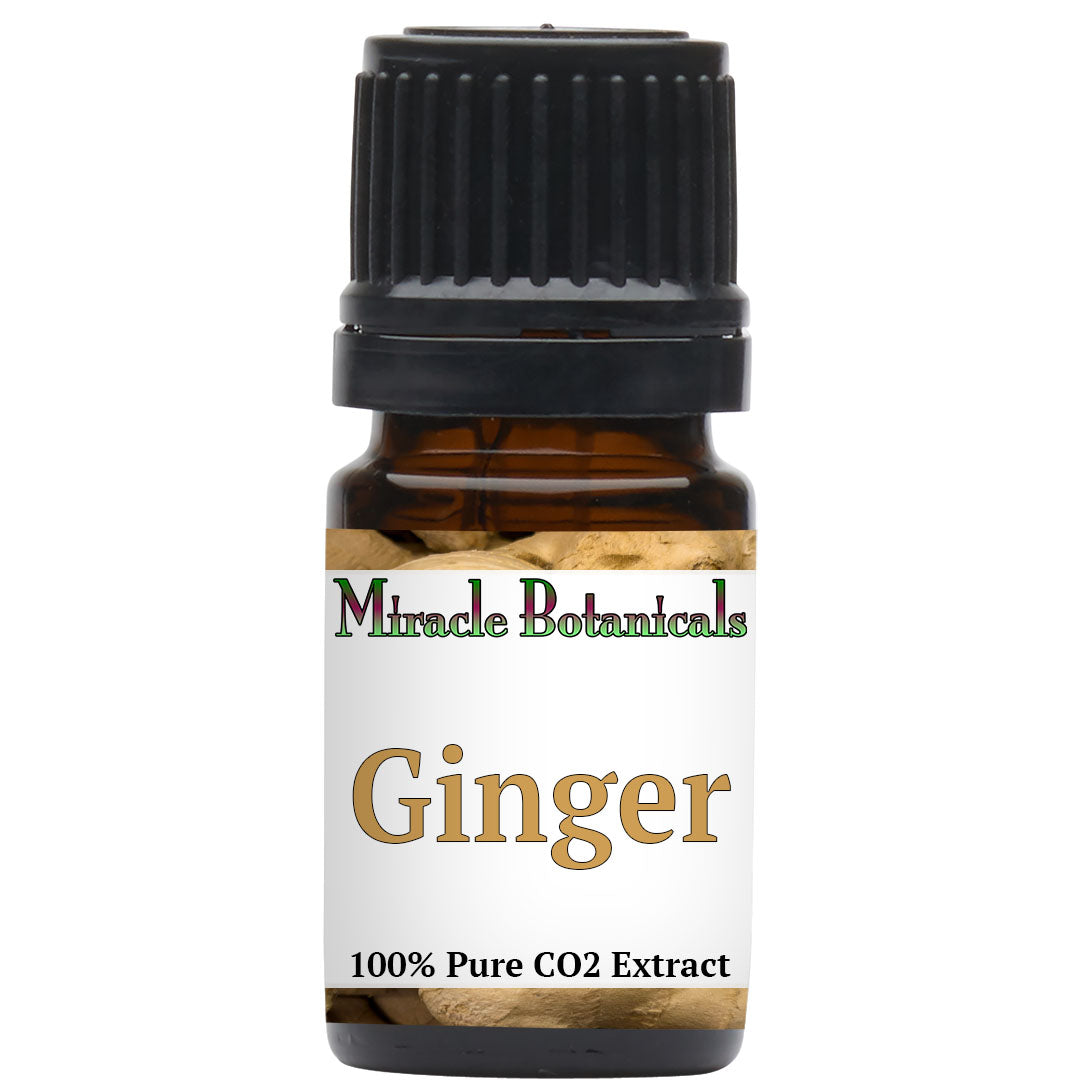 Ginger Essential Oil - CO2 Extracted (Zingiber Officinalis)