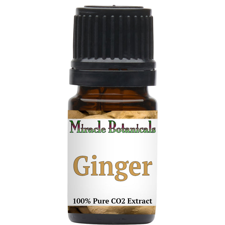 Ginger Essential Oil - CO2 Extracted (Zingiber Officinalis)
