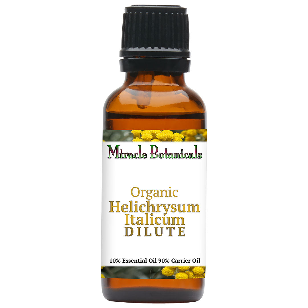 Helichrysum Italicum (Bulgarian) Essential Oil - Organic