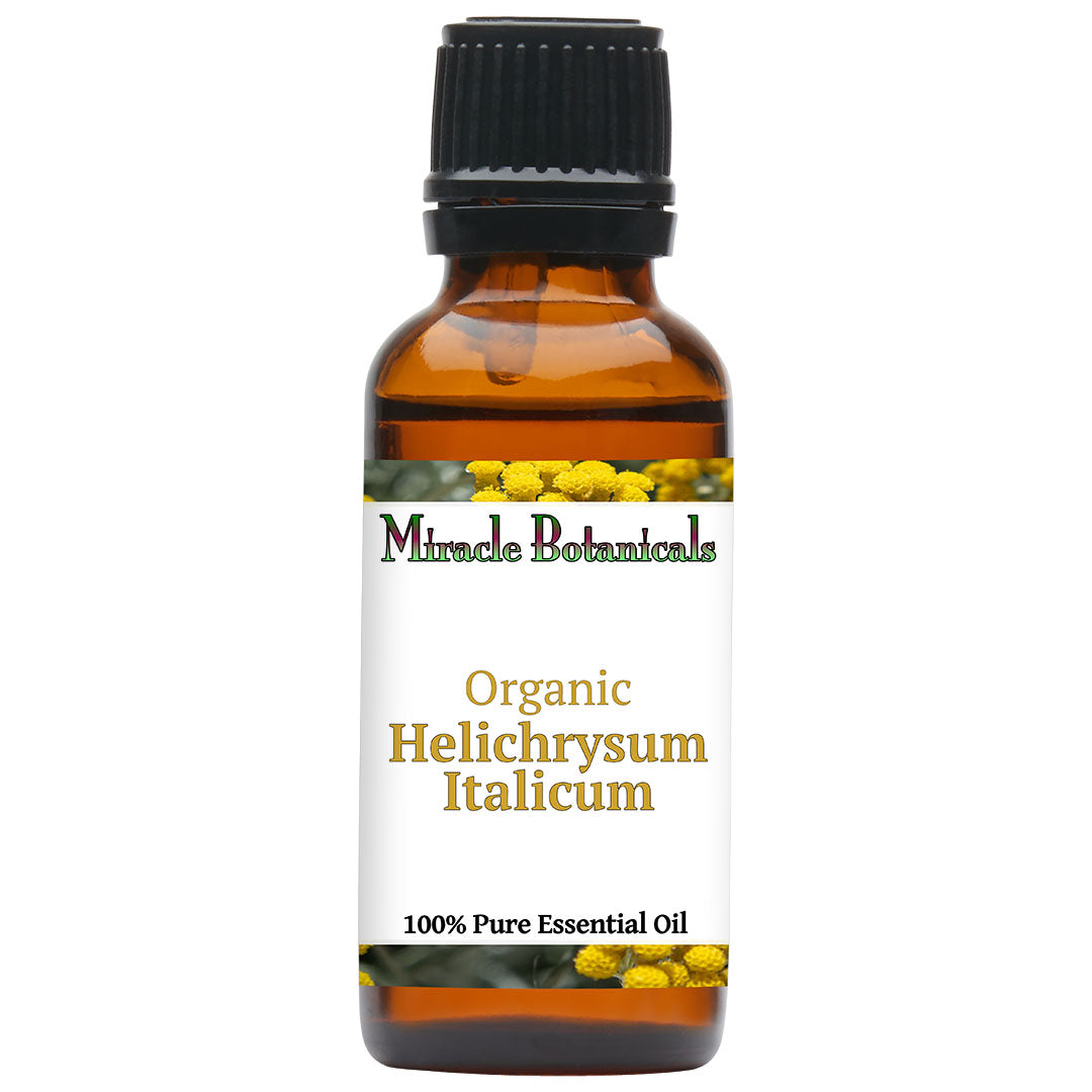 Helichrysum Italicum (Bulgarian) Essential Oil - Organic