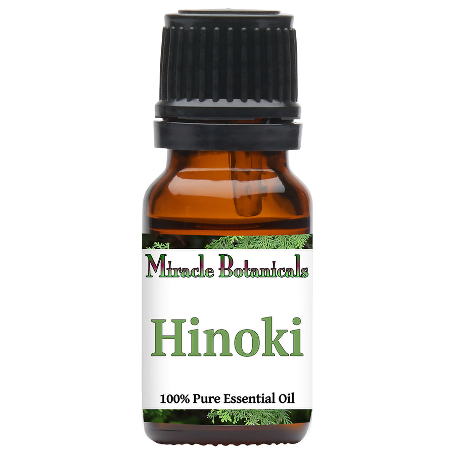 Hinoki Essential Oil (Chamaecyparis Obtusa) - Miracle Botanicals Essential Oils