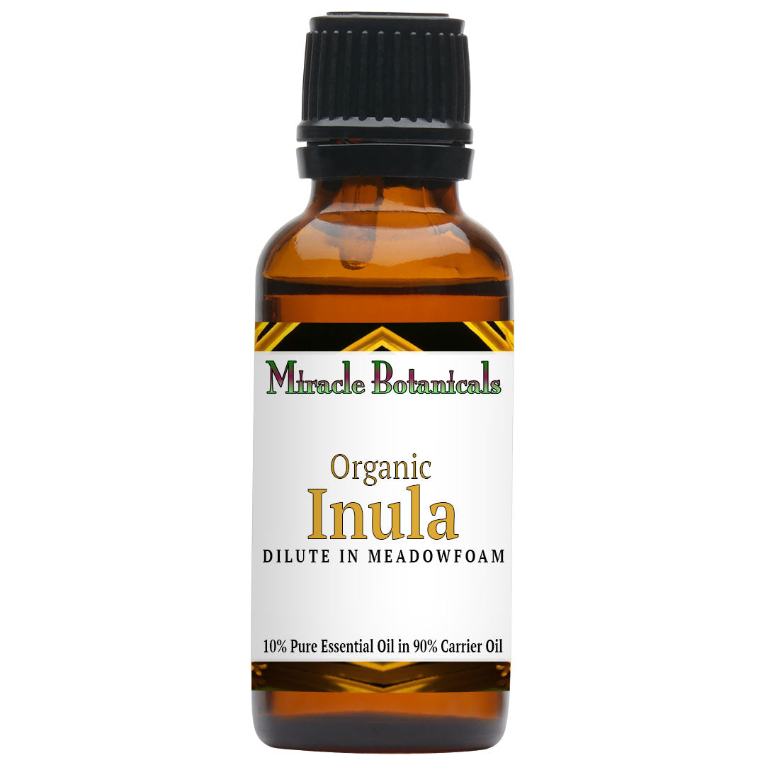 Inula Essential Oil - Organic - Fragrant Aster (Dittrichia graveolens (L.) Greuter (Syn : Inula graveolens Desf.)