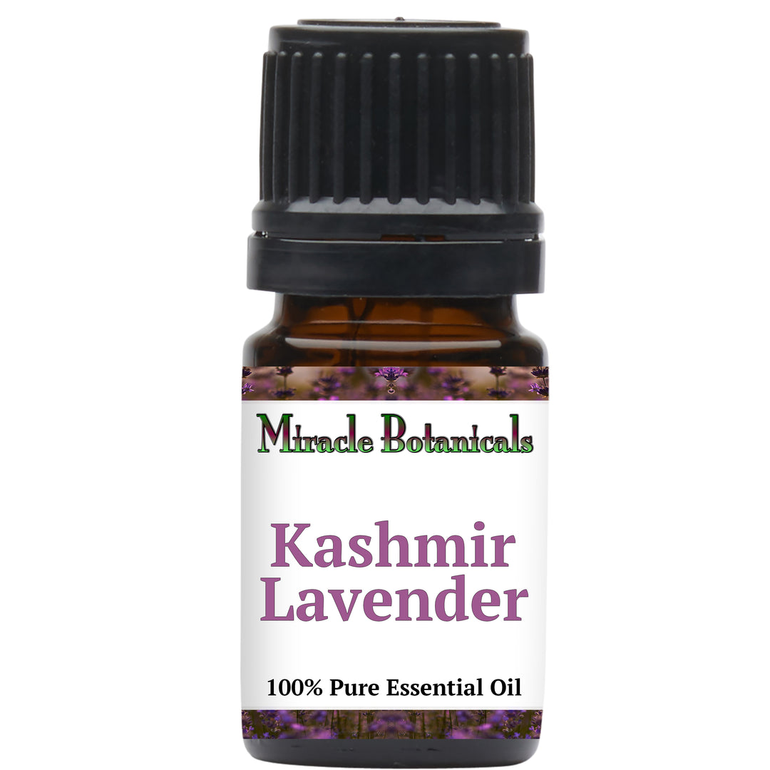 Lavender (Kashmir) Essential Oil (Lavandula Angustifolia)
