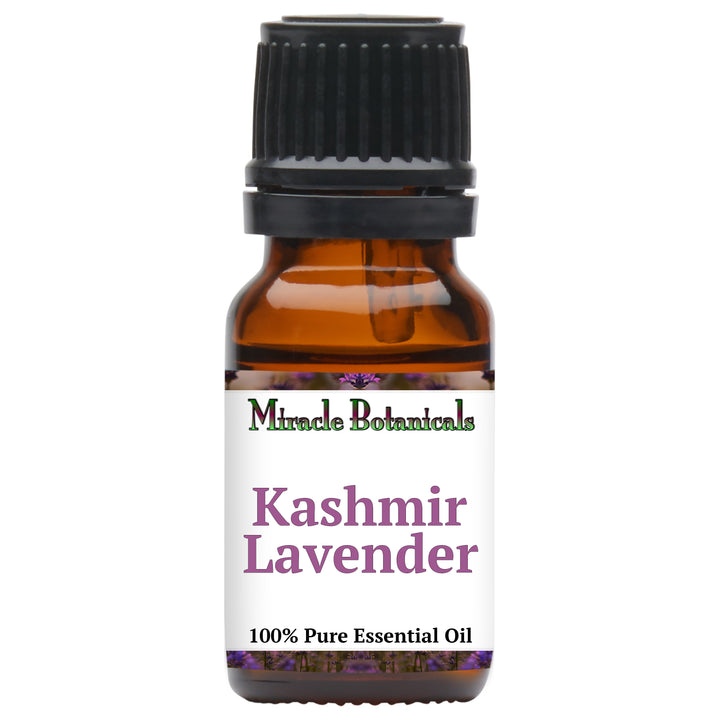 Lavender (Kashmir) Essential Oil (Lavandula Angustifolia)