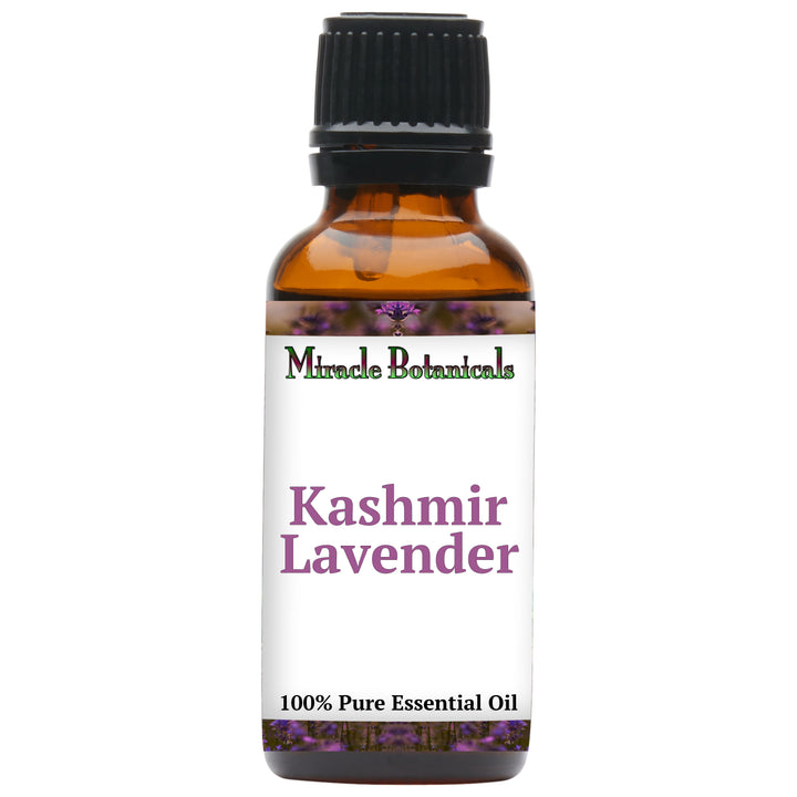 Lavender (Kashmir) Essential Oil (Lavandula Angustifolia)