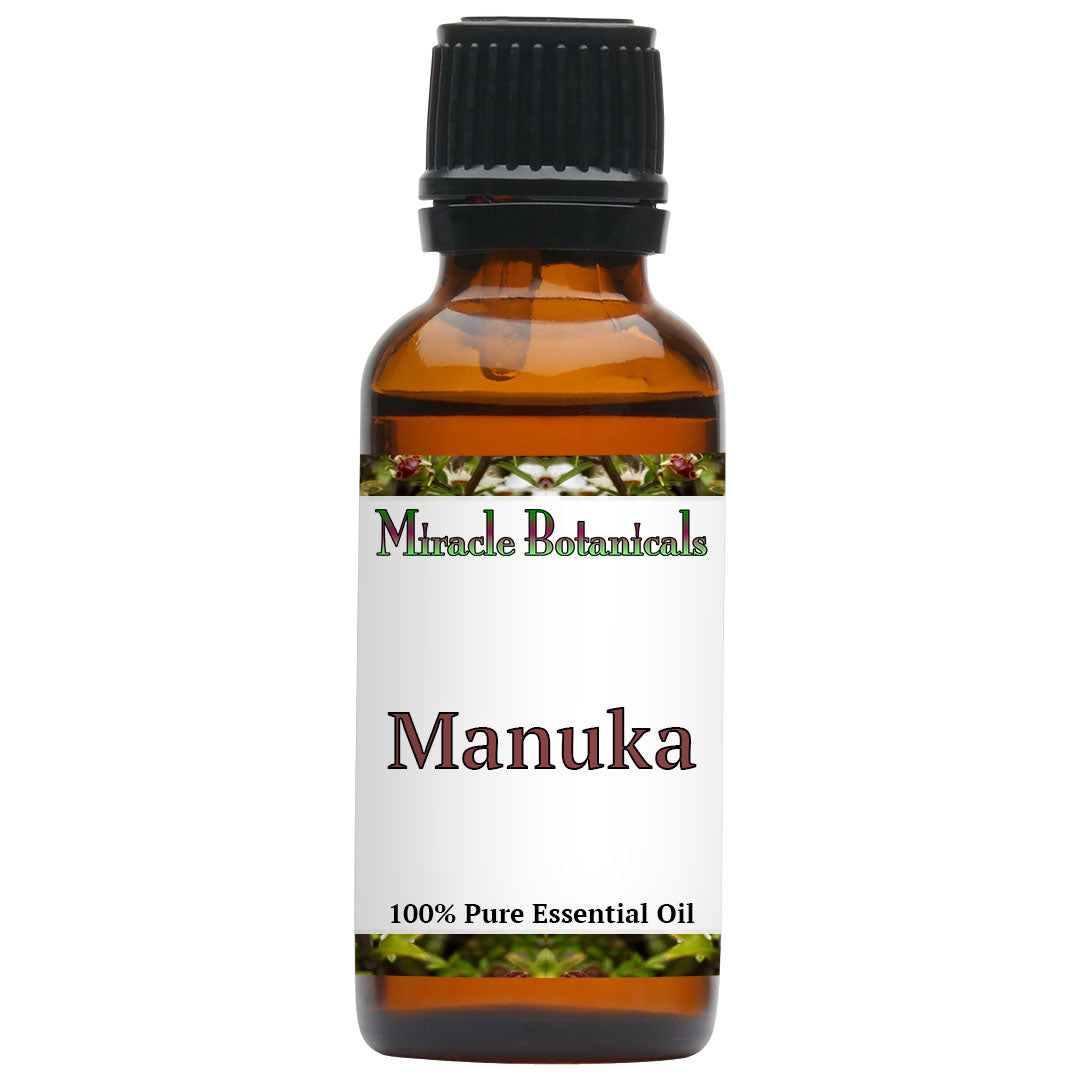 Manuka Essential Oil - Wildcrafted (Leptospermum Scoparium)
