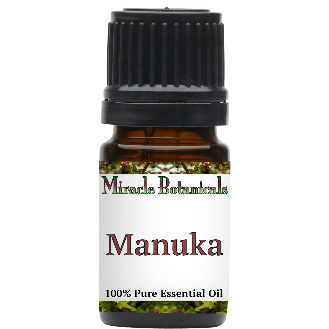 Manuka Essential Oil - Wildcrafted (Leptospermum Scoparium)