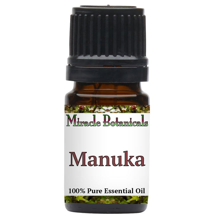Manuka Essential Oil - Wildcrafted (Leptospermum Scoparium)