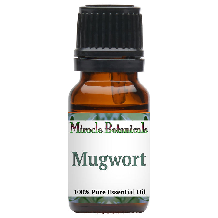 Mugwort Essential Oil (Artemisia Vulgaris)