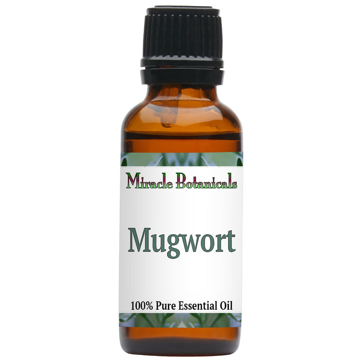 Mugwort Essential Oil (Artemisia Vulgaris)