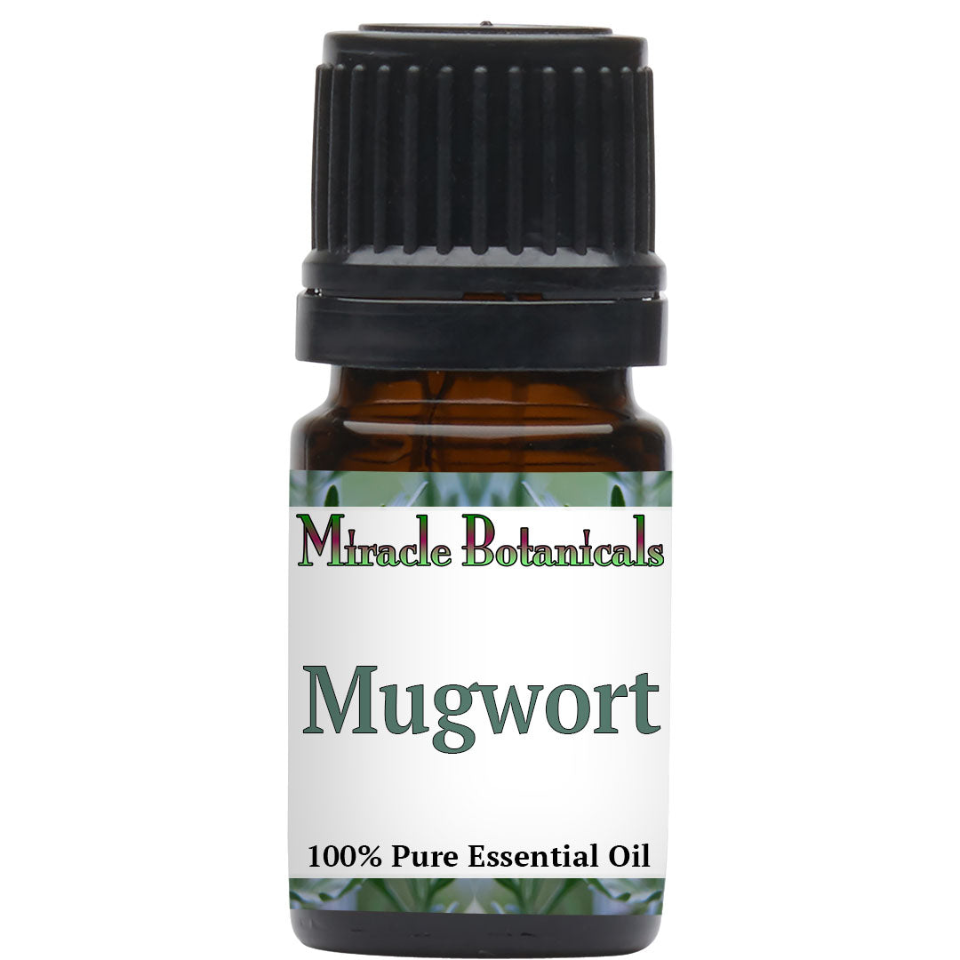 Mugwort Essential Oil (Artemisia Vulgaris)