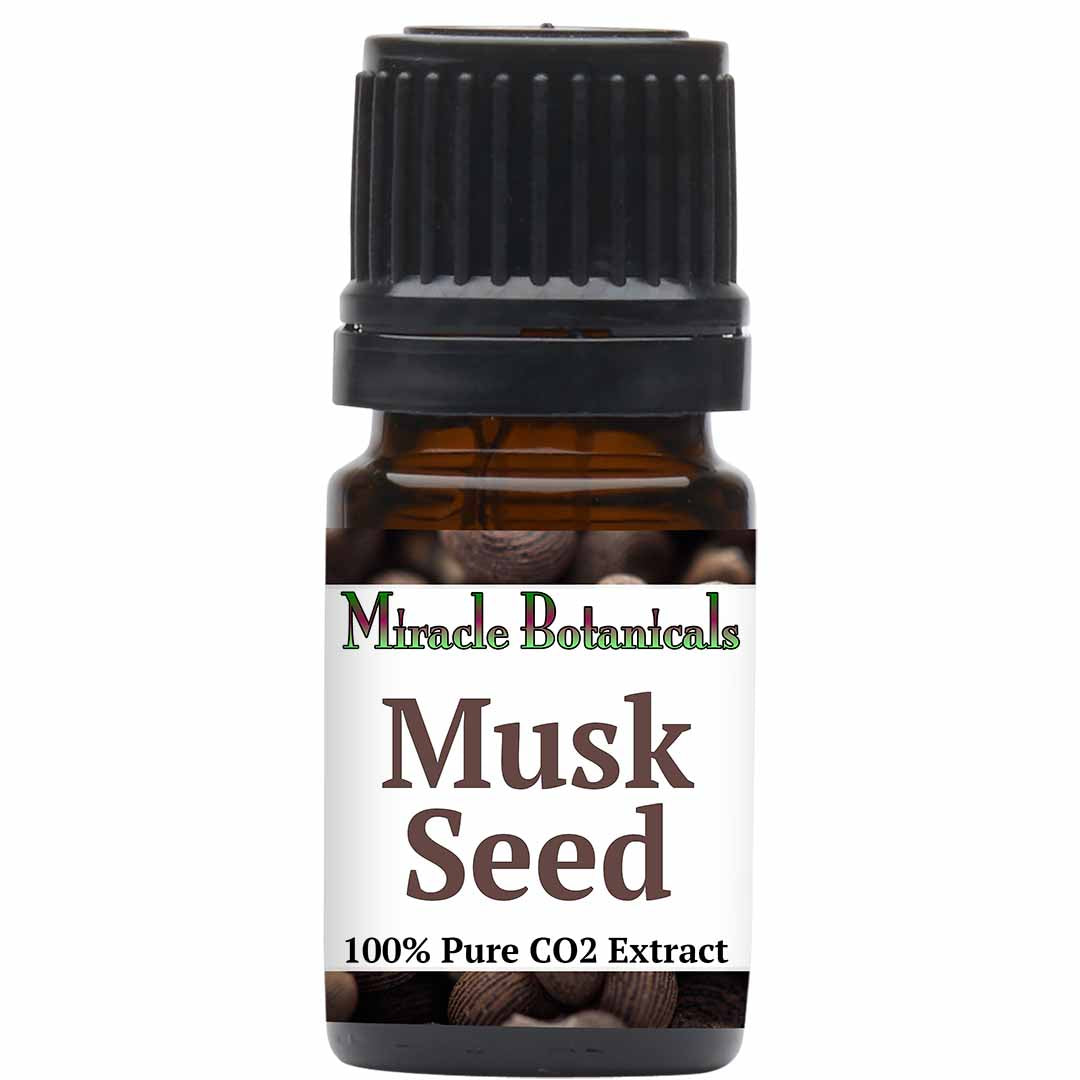 Musk Essential Oil (Ambrette Seed) - Co2 Extracted (Hibiscus Abelmoschus)