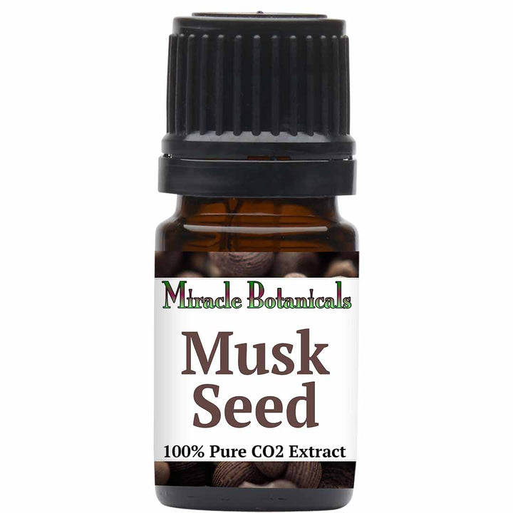 Musk Essential Oil (Ambrette Seed) - Co2 Extracted (Hibiscus Abelmoschus)