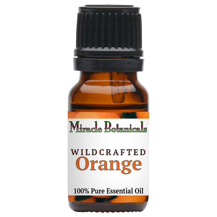 Orange Essential Oil - Wildcrafted (Citrus Sinensis)