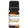Orange Essential Oil - Wildcrafted (Citrus Sinensis)