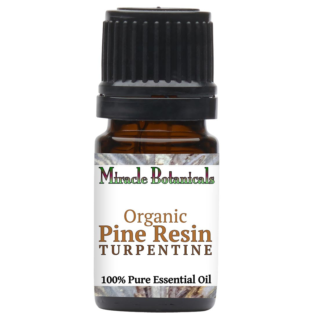 Pine Resin Turpentine Essential Oil - Organic (Pinus Pinaster)