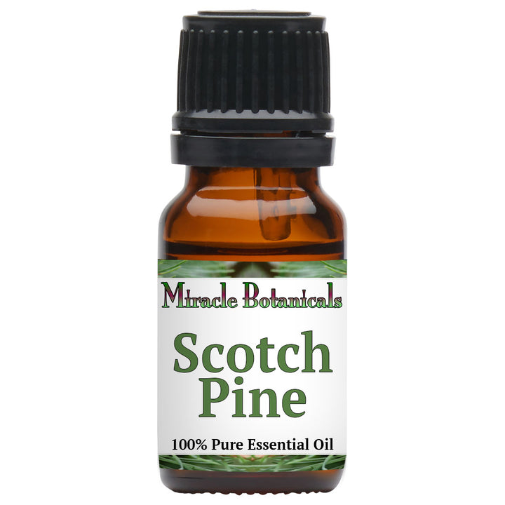 Pine (Scotch) Essential Oil (Pinus Sylvestris)