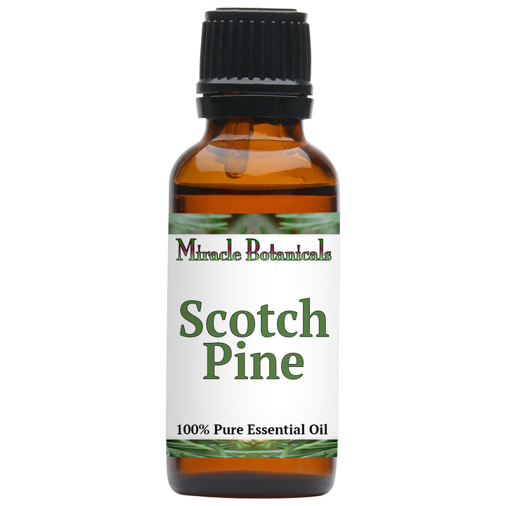 Pine (Scotch) Essential Oil (Pinus Sylvestris)