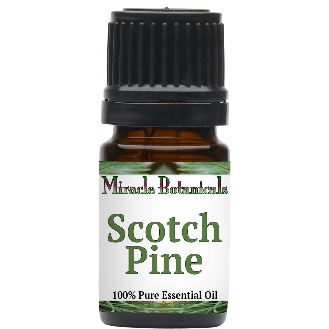 Pine (Scotch) Essential Oil (Pinus Sylvestris)