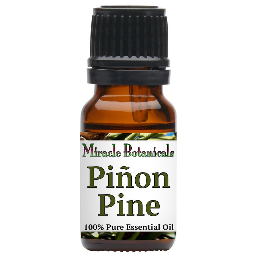 Piñon Pine (Pinyon, Pinion) Essential Oil - Limited! (Pinus Edulis)